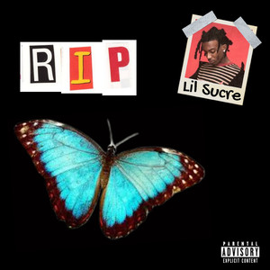 要看西村妮娜视频
