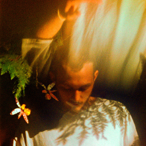 要看西村妮娜视频
