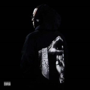 要看西村妮娜视频
