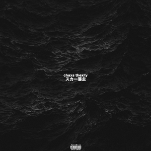 要看西村妮娜视频
