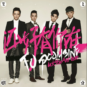 要看西村妮娜视频
