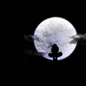 要看西村妮娜视频
