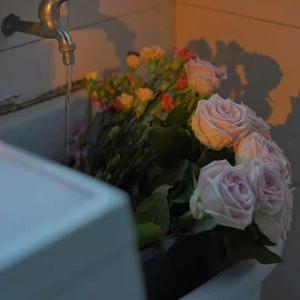 要看西村妮娜视频
