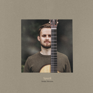 要看西村妮娜视频
