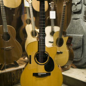 要看西村妮娜视频
