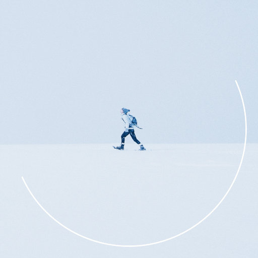 要看西村妮娜视频
